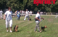 В Киеве стартовала выставка охотничьих собак (ФОТО) 