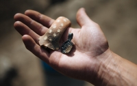 На острове в Балтийском море нашли тысячелетний клад