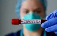 Получен первый 3D снимок коронавируса
