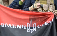 На УНА-УНСО и «Правый сектор» готовят документы в Международный суд