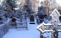 В Киеве врач вывез пациентов умирать на кладбище