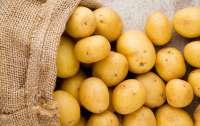Картофель может взлететь в цене после летней погоды от жары до ливней