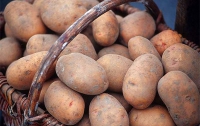Самый дешевый картофель продают в Тернопольской области, – Минэкономики