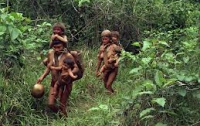 Бразильские шахтеры вырезали племя индейцев в Венесуэле