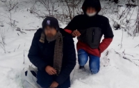 Незаконных мигрантов спасли от смерти в Карпатах