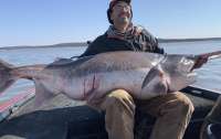 Рыбак выловил рекордно большую рыбу и был вынужден отпустить ее