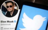 Маск отложил продажу подписки Twitter Blue
