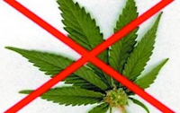 Молодые, курящие марихуану, подвержены инсульту и сердечным приступам