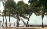 Туристам на заметку: на Флориду обрушился тропический шторм