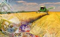Українським фермерам пропонують невелику суму грошей на розвиток