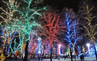 В Днепропетровске на деревьях развесили полмиллиона лампочек