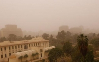 Египет накрыла мощная песчаная буря