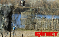 Радость рыбака: в киевские водоемы массово запустят рыбу