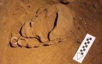 Обнаружены останки древнейшего рыболова на Земле