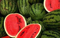 Можно ли есть июльские арбузы?
