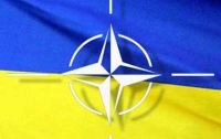 Военная делегация НАТО высадится на территории Украины