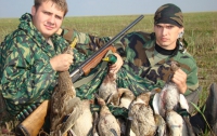 В августе в Украине будут массово гибнуть птицы