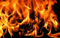 Жительница Запорожской области сгорела, пытаясь согреться