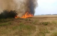В пяти областях Украины объявлена чрезвычайная пожарная опасность