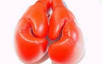 Боксеры Кличко готовят провокации на избирательных участках?