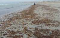На берегу Азовского моря засняли новую аномалию