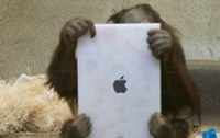 Освоить iPad  под силу даже обезьянам