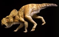 В Монголии нашли уникальное захоронение детенышей динозавров