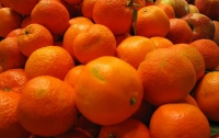 За Новый год украинцы скупают 60% годового потребления мандарин