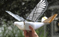 У Китаї з'явилися військові дрони, схожі на голубів