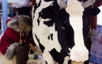 В Одессе появилась чудо-корова (ФОТО)