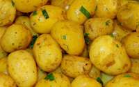 Врачи рассказали, кому запрещено есть молодой картофель