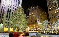 СМИ: В Нью-Йорке зажгли огни на главной рождественской елке США