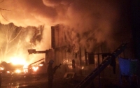 Крупный пожар под Киевом: 30 человек остались без жилья