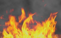 В Чернигове электросварщики за час сожгли 100 тонн туалетной бумаги