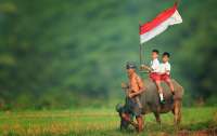 В Индонезии переносят столицу
