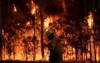 Украинцев предупредили о наивысшем уровне пожарной опасности