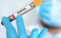 Новая вакцина против лихорадки денге обезопасит детей: ВОЗ провела предварительную квалификацию