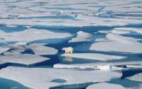 Аномальная температура: в Арктике зафиксирован пугающий рекорд