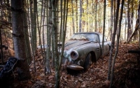 В лесу в США обнаружили брошенный 40 лет назад Aston Martin