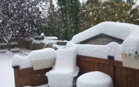 На Канаду обрушился аномальный снегопад (видео)