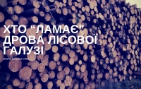 Хто “ламає” дрова у лісовій галузі
