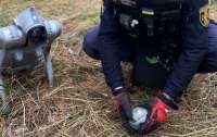 На Київщині елементи касетних боєприпасів виявили за допомогою собаки-робота