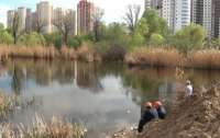 В Киеве хотят засыпать озеро ради очередной стройки