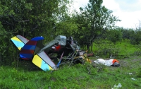 Новые подробности авиакатастрофы под Киевом 