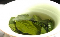 Зеленый чай спасет от ишемического инсульта 
