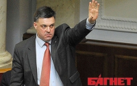 Мы не держимся за дату киевских выборов, - Тягнибок