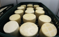 Британцы будут использовать сыр для отопления домов
