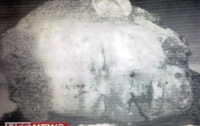 Найдена голова террориста, взорвавшего «Домодедово»