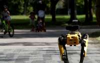 В Сингапуре соблюдение дистанции в парке контролирует робот (видео)