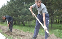 Дети «пашут» на стройках, полях и шахтах